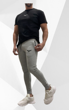 Load image into Gallery viewer, Saxony ForcePro Joggers Grey
